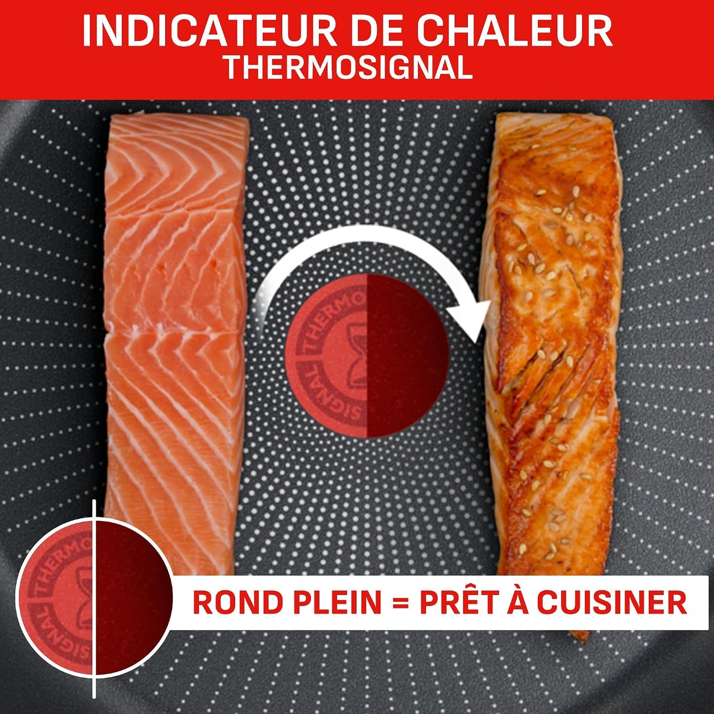 Tefal Ingenio Batterie de cuisine 20 pièces, Poêles, Casseroles, 2 poignées amovibles, Induction, Revêtement antiadhésif, Empilable, Compatible lave-vaisselle, Emotion L897SK04